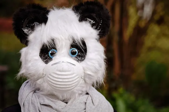 SpinShake Casino Stuðningur